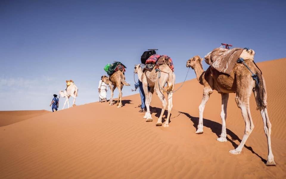 Camp Desert Bivouac Chegaga El Gouera Eksteriør bilde