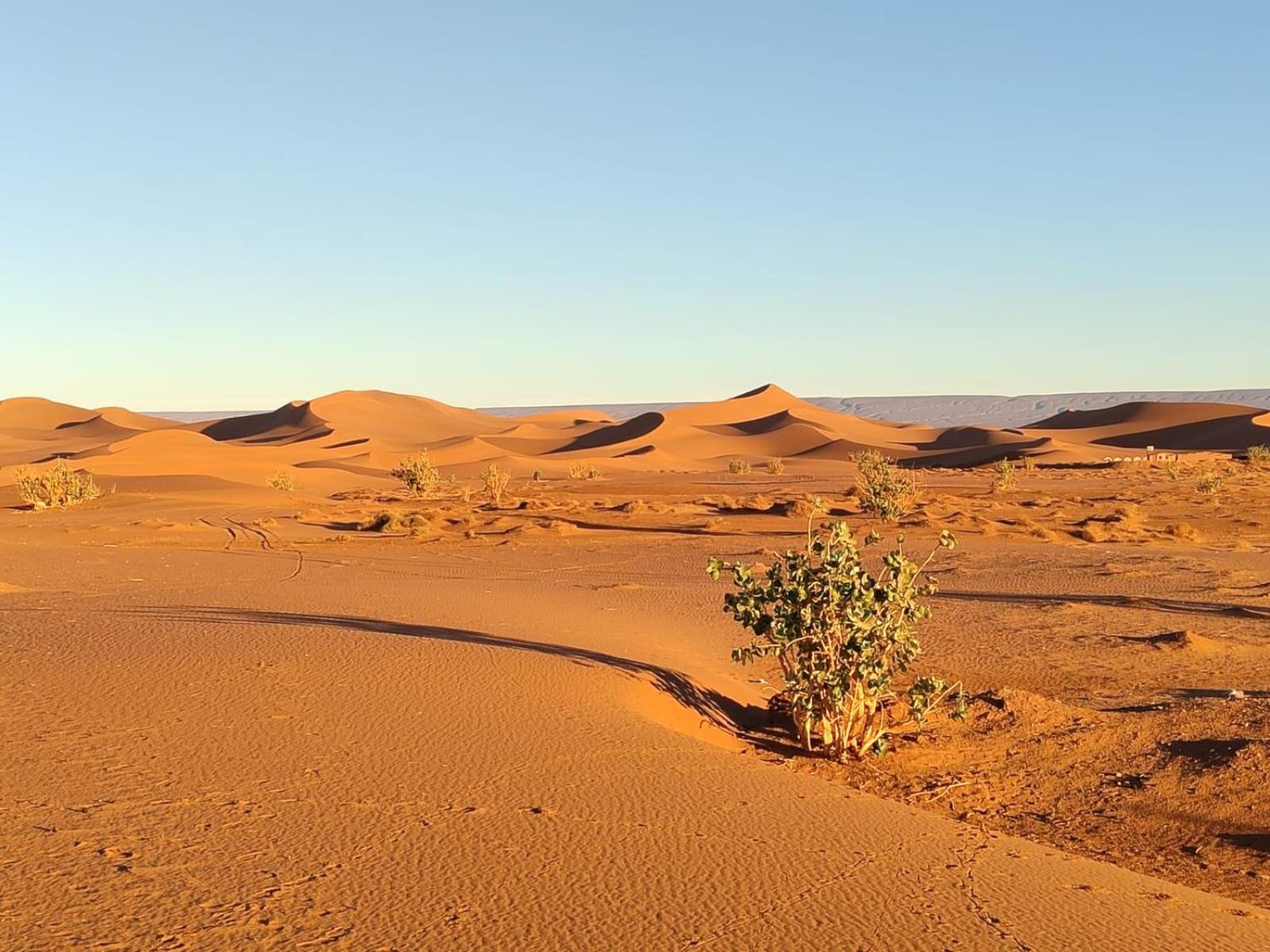 Camp Desert Bivouac Chegaga El Gouera Eksteriør bilde