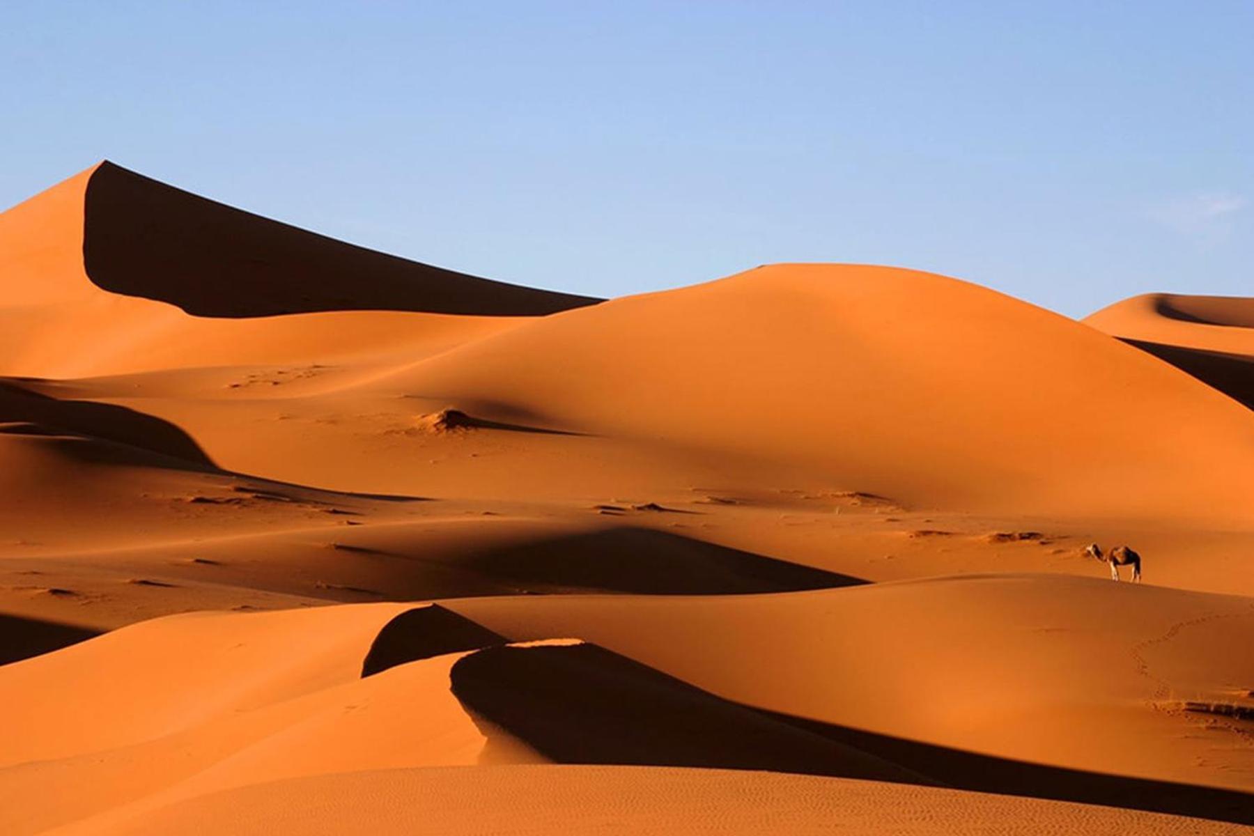 Camp Desert Bivouac Chegaga El Gouera Eksteriør bilde
