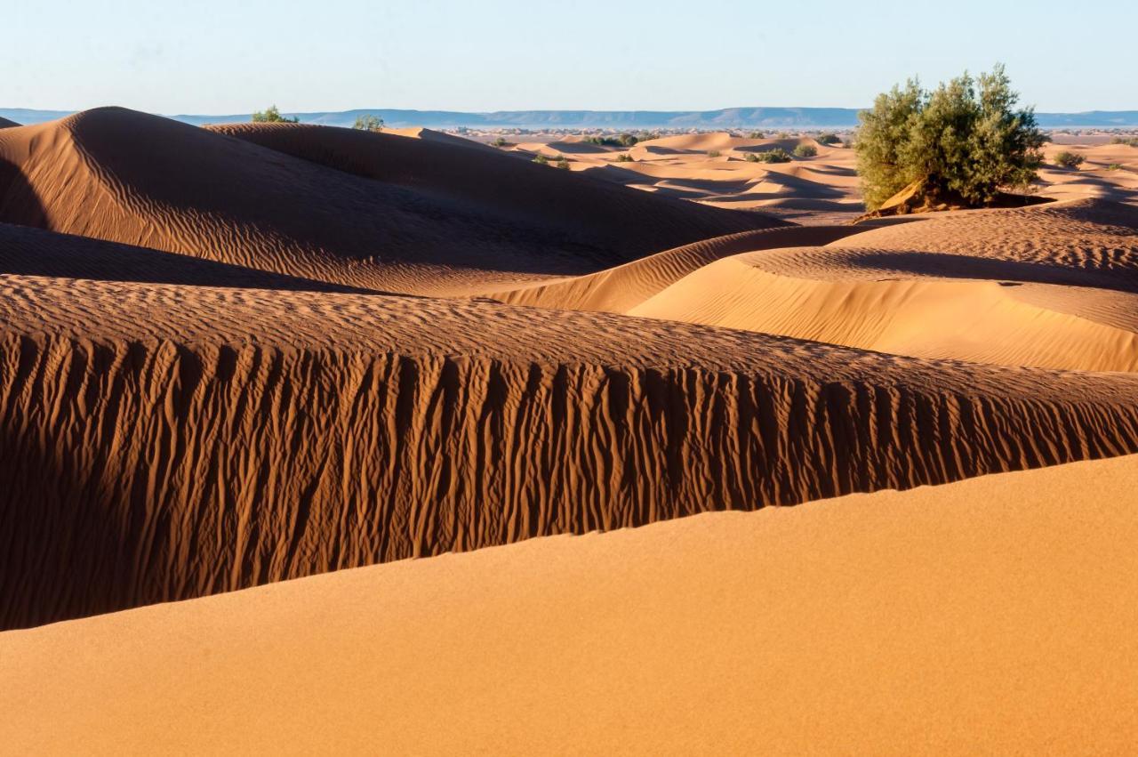 Camp Desert Bivouac Chegaga El Gouera Eksteriør bilde